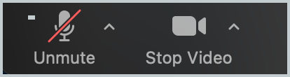 zoom mute mic.png